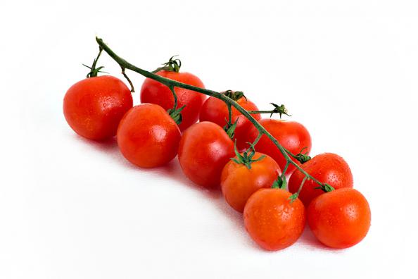 فروش ویژه گوجه زیتونی اصفهان