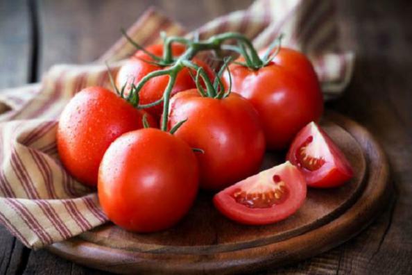 تولید انواع گوجه فرنگی صادراتی
