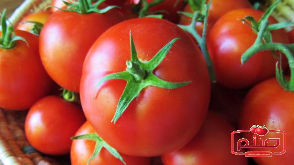 بهبود سلامت گوارش با گوجه فرنگی