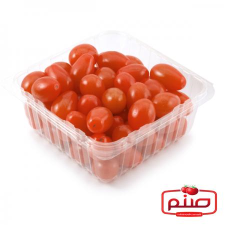 بهترین تولیدکنندگان گوجه زیتونی اصفهان