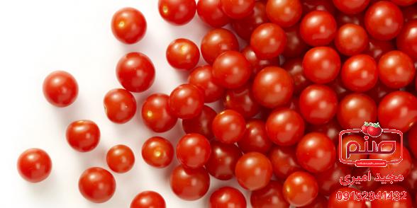 گوجه برای کمک به جلوگیری از عفونت دستگاه ادراری