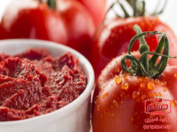 آشنایی با کاربردهای رب گوجه