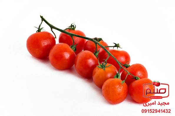 برترین فروشندگان گوجه زیتونی جگوار