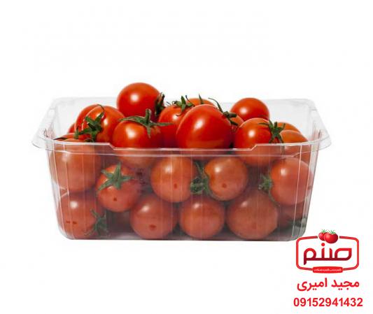 توزیع کنندگان گوجه گیلاسی بسته بندی